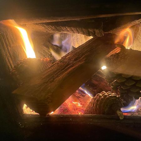 Basic, Super 'Cosy' Cabin In The Middle Of National Park And Mountains Διαμέρισμα Otira Εξωτερικό φωτογραφία