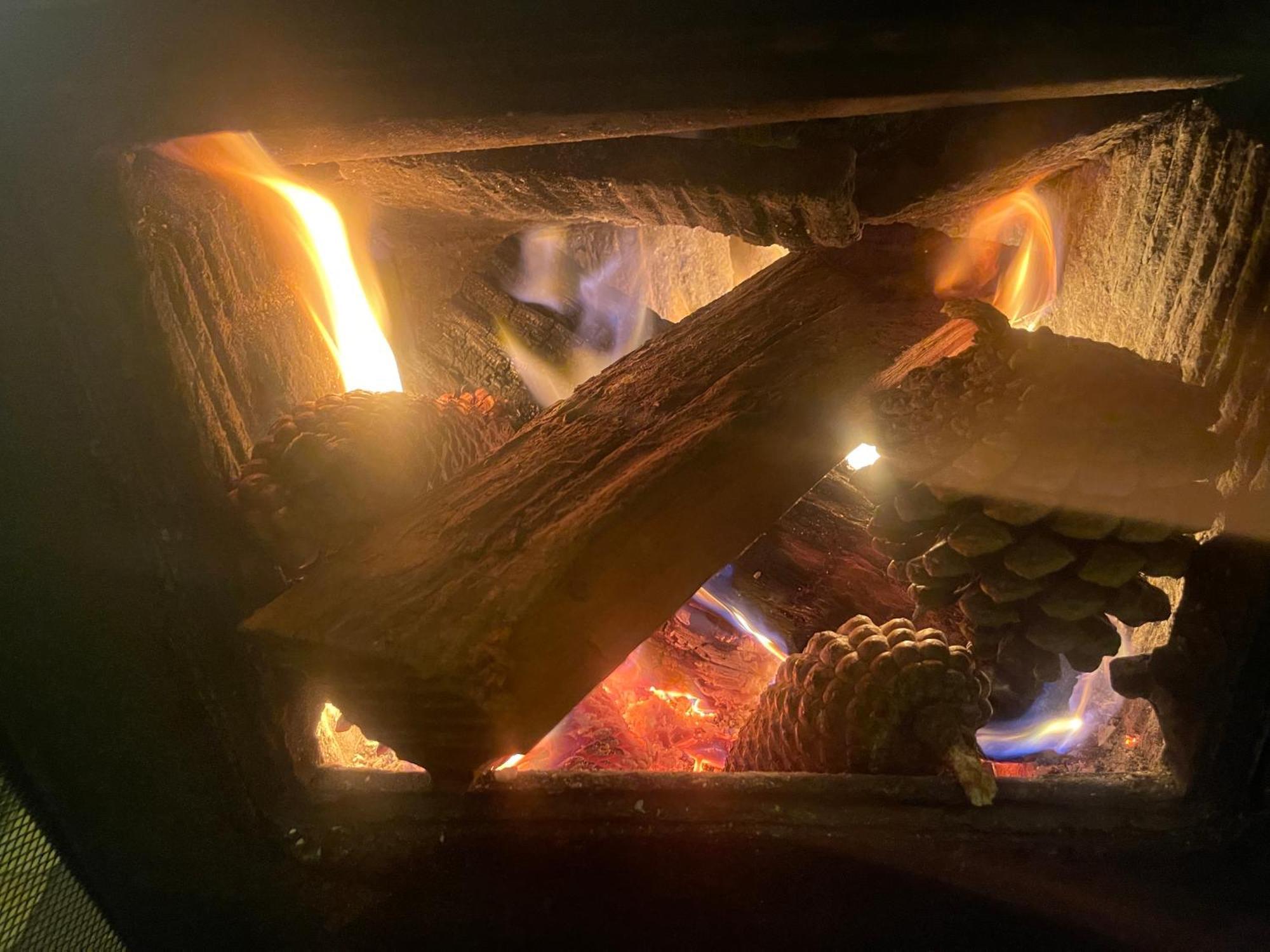 Basic, Super 'Cosy' Cabin In The Middle Of National Park And Mountains Διαμέρισμα Otira Εξωτερικό φωτογραφία